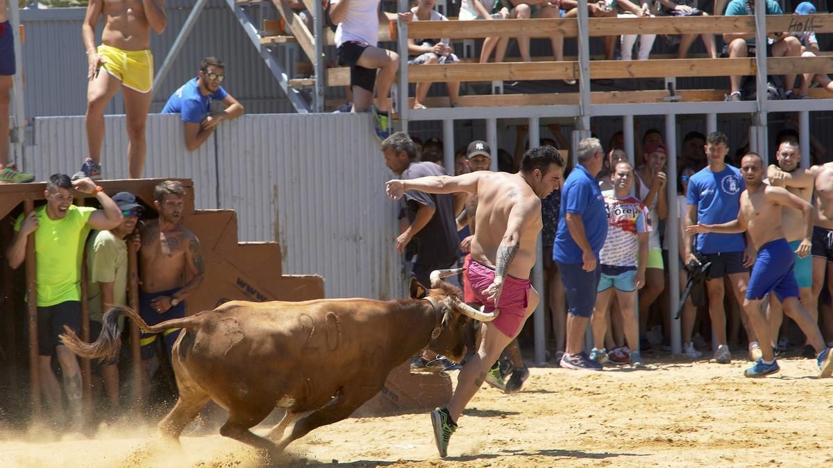 Valencia Adds €3.5M for Bullfighting