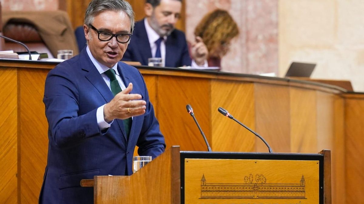 El portavoz de Vox en Andalucía, Manuel Gavira, en el Parlamento.