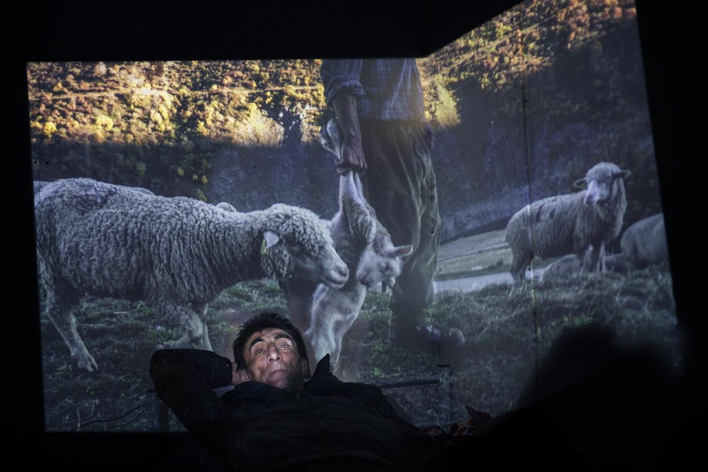 Edik con una foto de sus ovejas de fondo.