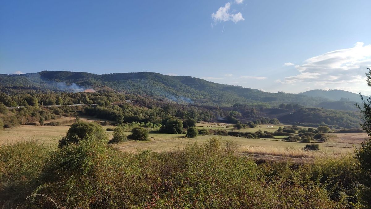 Un nuevo incendio en Berlanga obliga a movilizar medios aéreos y terrestres para sofocar las llamas.