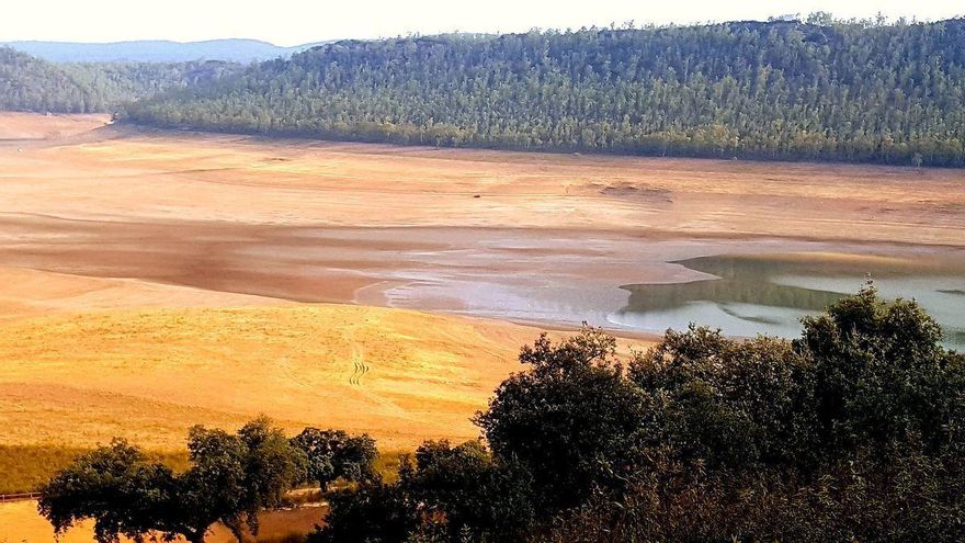 Las reservas hídricas del Guadiana caen al 31,9 % y las del Tajo se mantienen en el 58,7