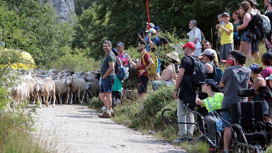 Trashumancia sin barreras en la montaña de León