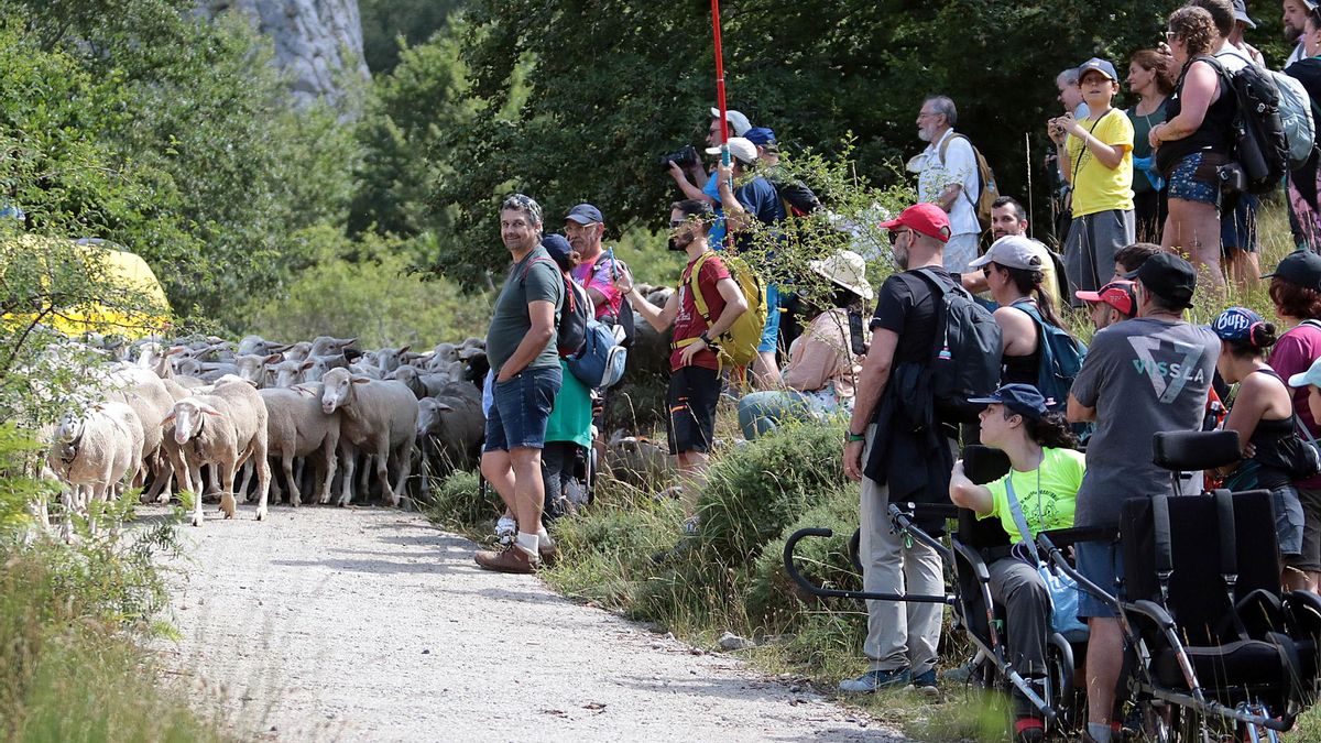 Trashumancia sin barreras en la montaña de León