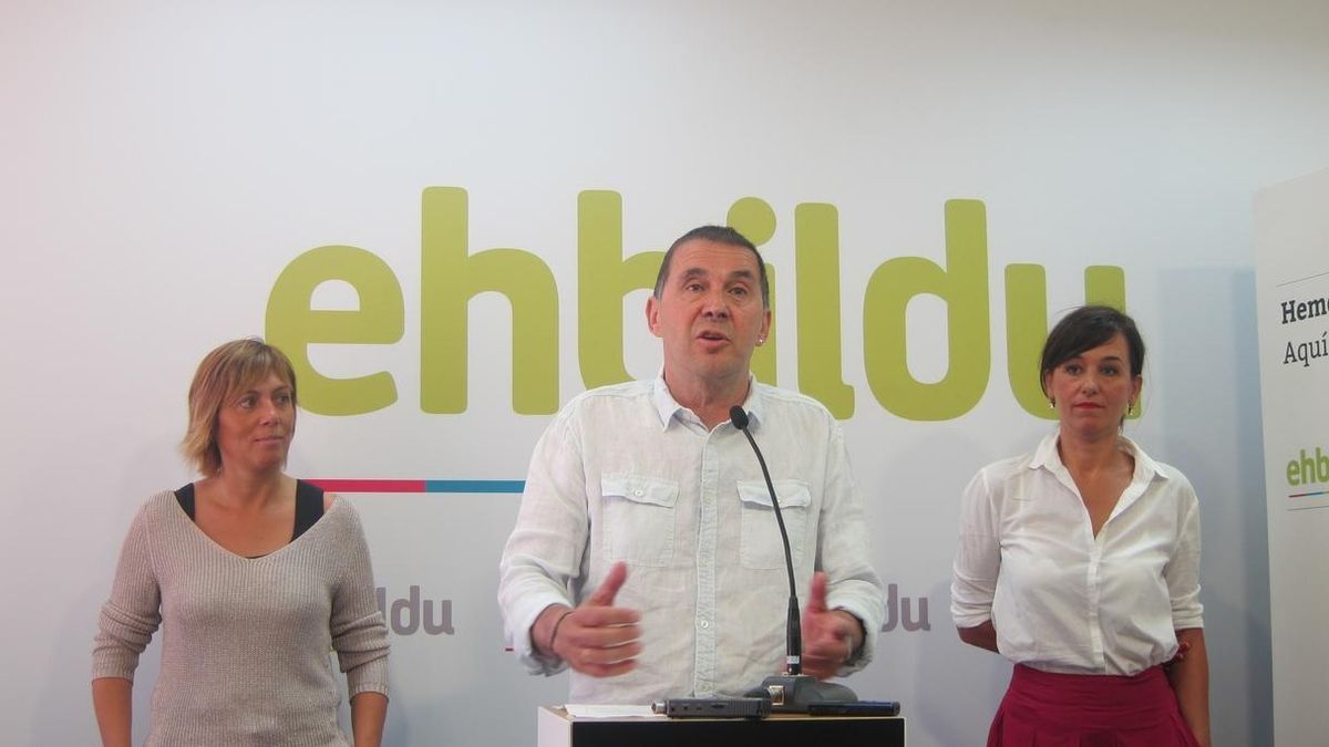 La defensa de Otegi presenta recurso ante TC que deberá decidir en tres días si puede concurrir a las elecciones del 25S