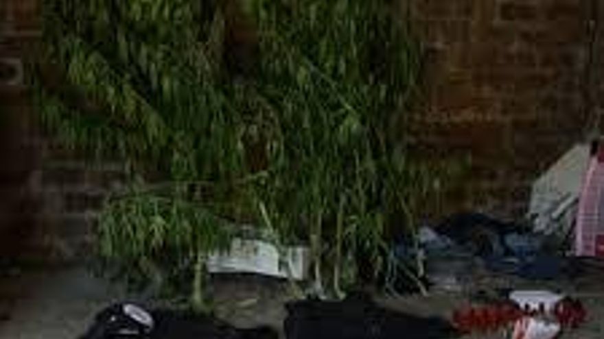 La sustancia hallada en la cocaína adulterada sería carfentanilo, según dos estudios oficiales