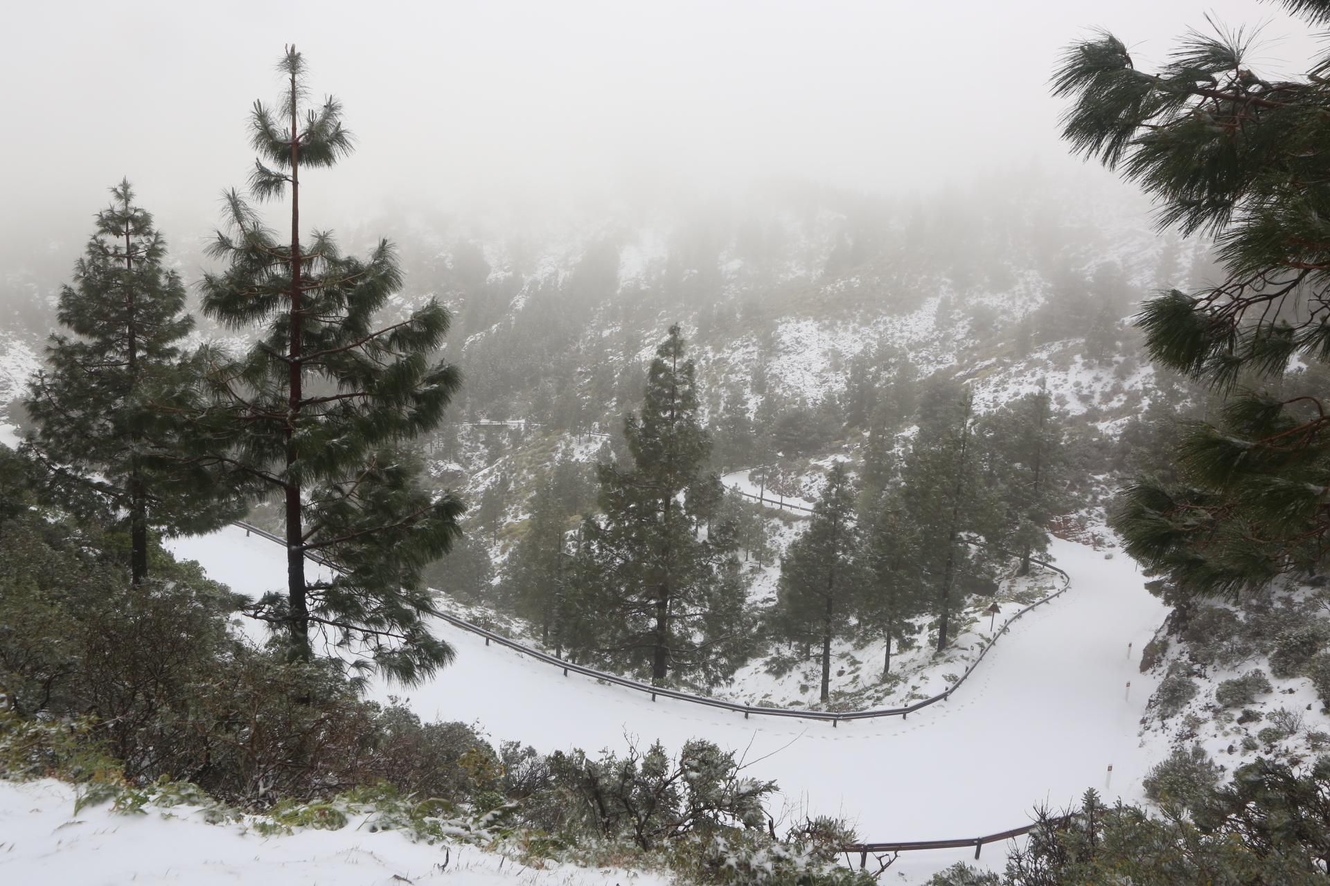 Carretera hacia el Roque Nublo (ALEJANDRO RAMOS)