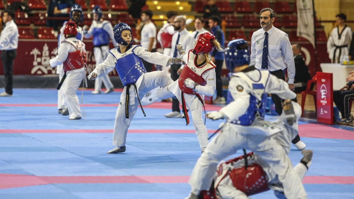Open internacional de Andalucía de Taekwondo y Copa Iberdrola