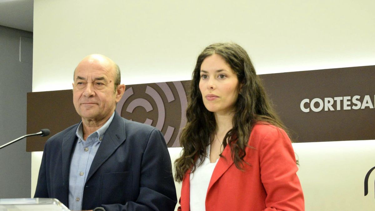 Los diputados del PSOE en las Cortes de Aragón Daniel Alastuey y Alba Sánchez Miedes.