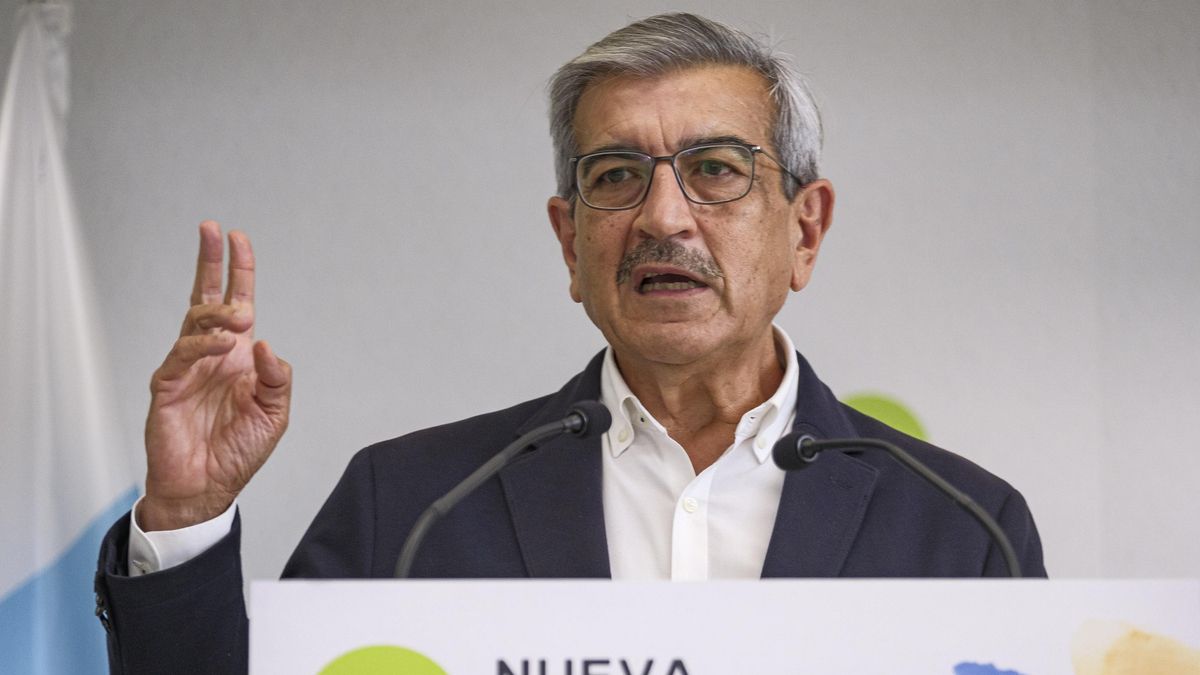 El secretario nacional de Estrategia, Programa y Formación de Nueva Canarias-Bloque Canarista, Román Rodríguez. EFE