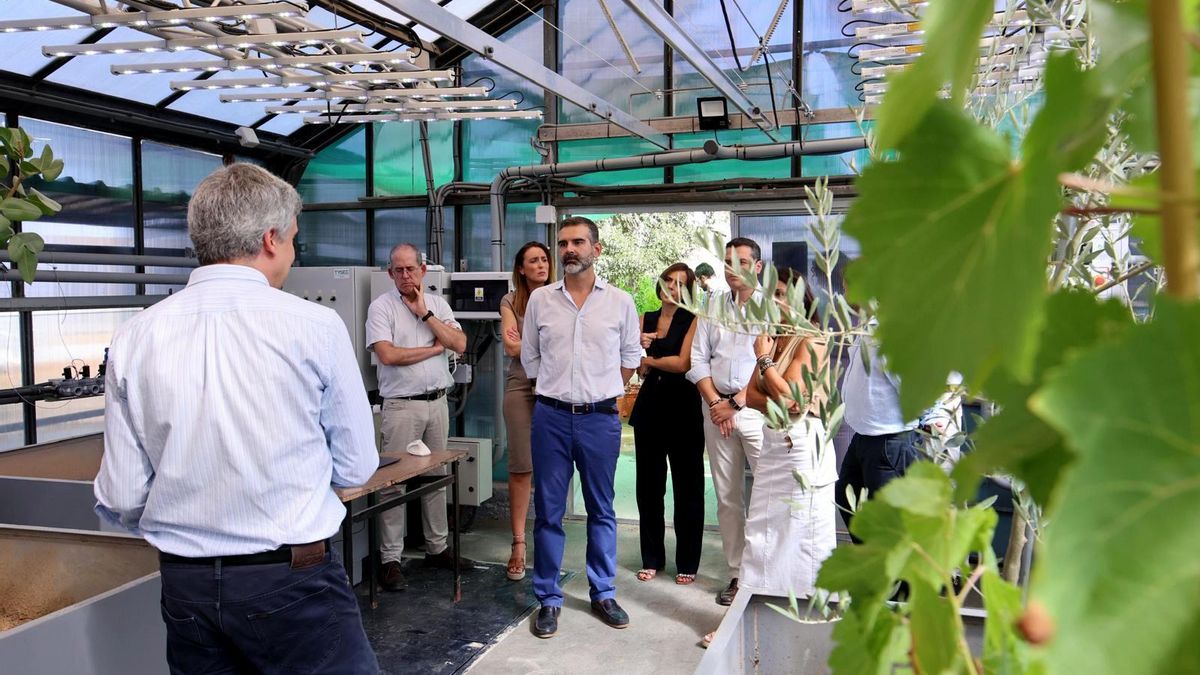 Córdoba estrena un laboratorio de sequía y clima futuro en cultivos mediterráneos, pionero a nivel mundial