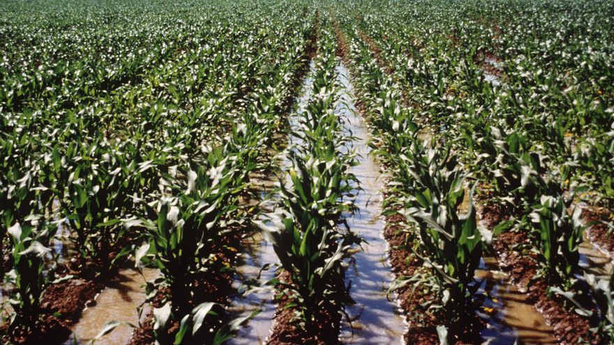 Un proyecto europeo busca monitorizar y evaluar el secuestro de carbono en la agricultura