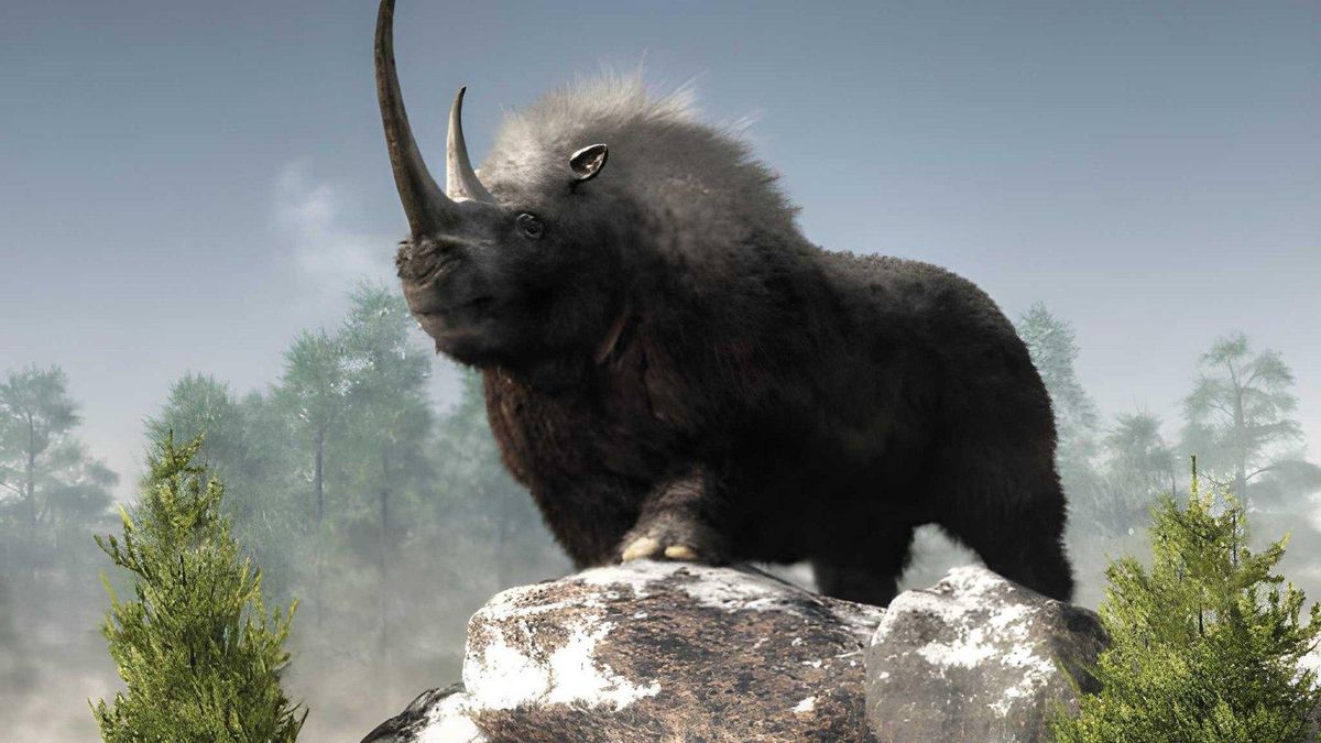 ¿Por qué los neandertales de lo que hoy es España guardaban dientes de rinoceronte? El hallazgo cambia lo que parecía un simple resto animal