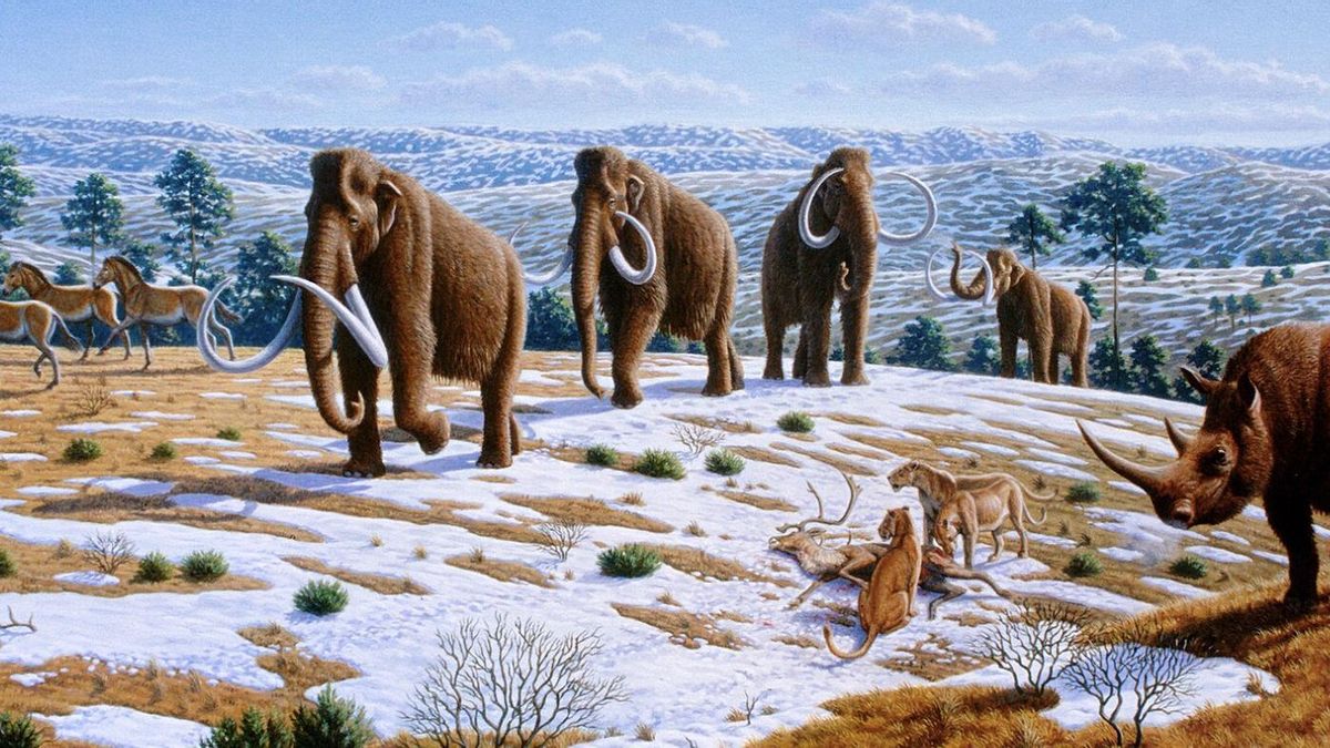 Bill Bryson recuerda que la llegada de nuestra especie poco tuvo que ver con estas pérdidas.