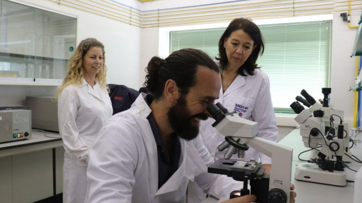 Expertos de la UCO señalan que los huevos de aves silvestres revelan la huella de contaminantes en el entorno