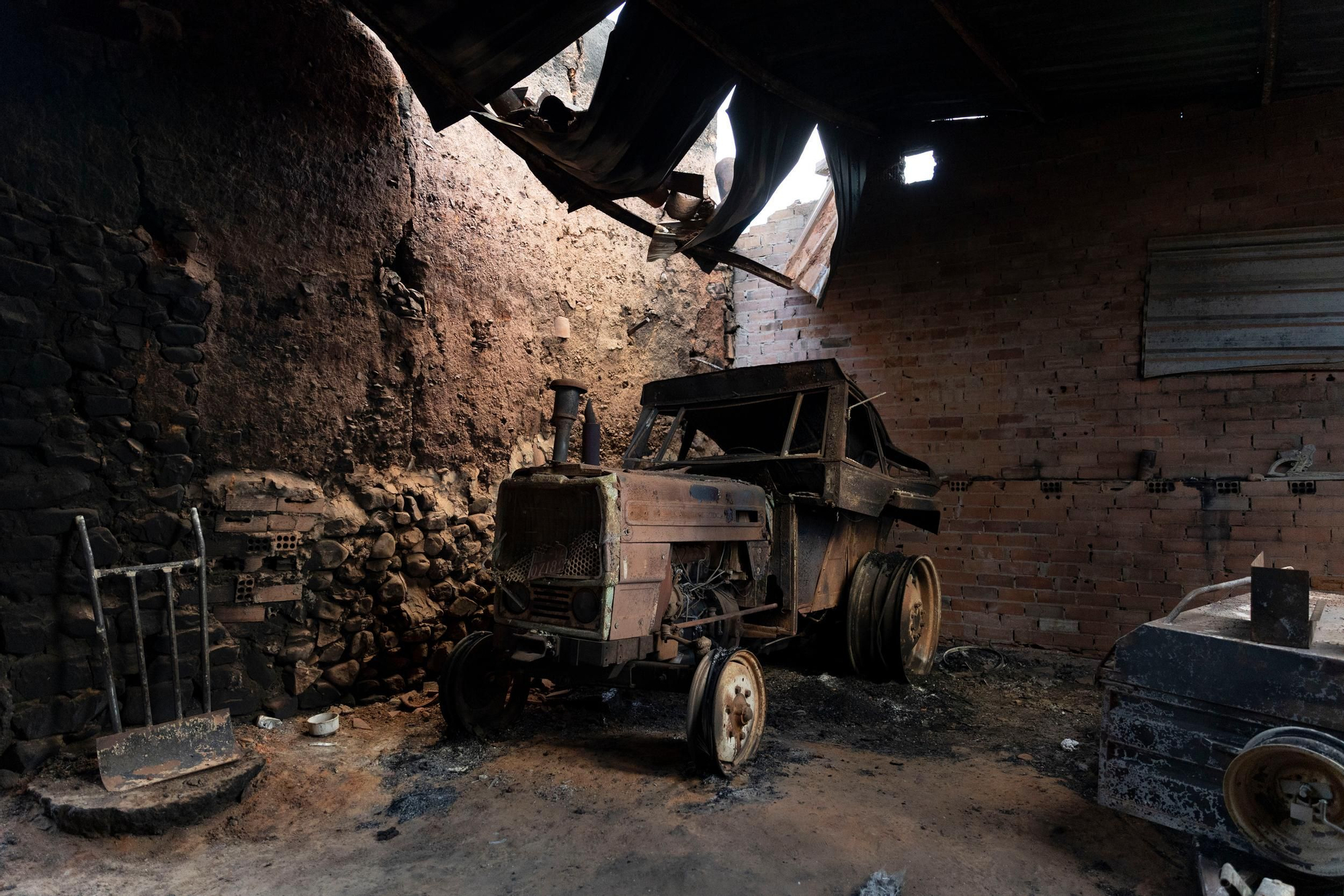 La devastación de los incendios del sur de León que impulsa la campaña internacional de Greenpeace