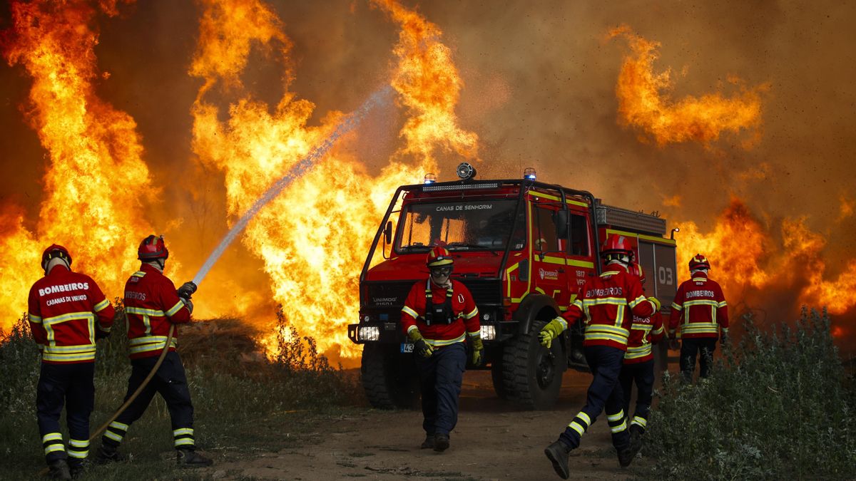 Un continente acorralado: los incendios se extienden por una Europa sin 'escapatoria'