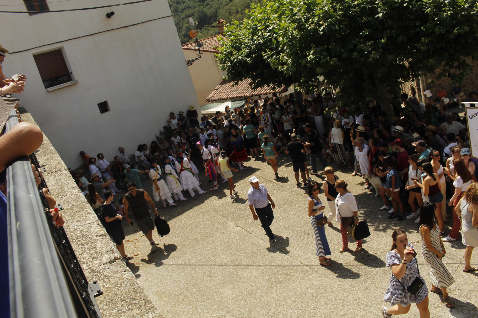 Día del Camero Viejo en Terroba