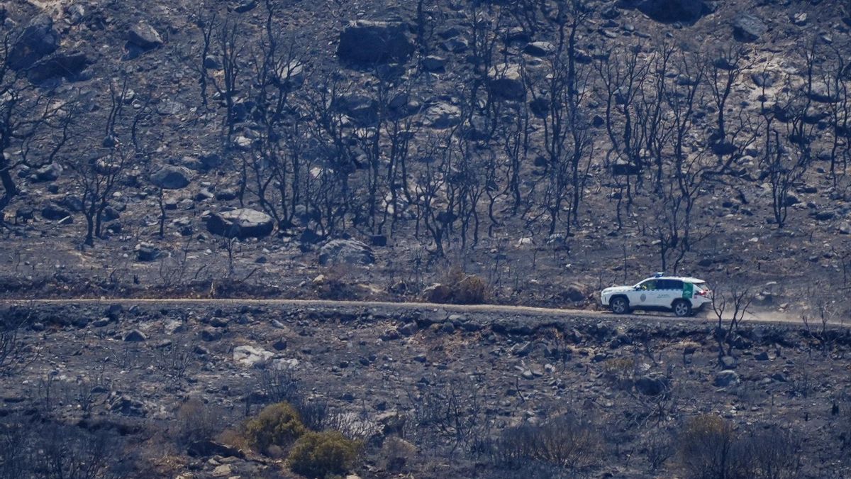 El Gobierno declara zonas 'catastróficas' en Sevilla, Cádiz, Huelva y Córdoba por siete incendios forestales de este verano