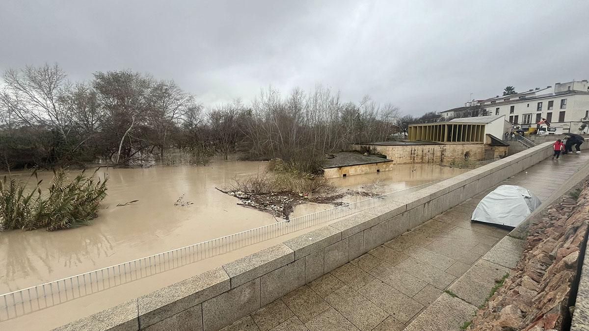 El Balcón del Guadalquivir inundado frente al Molino de Martos