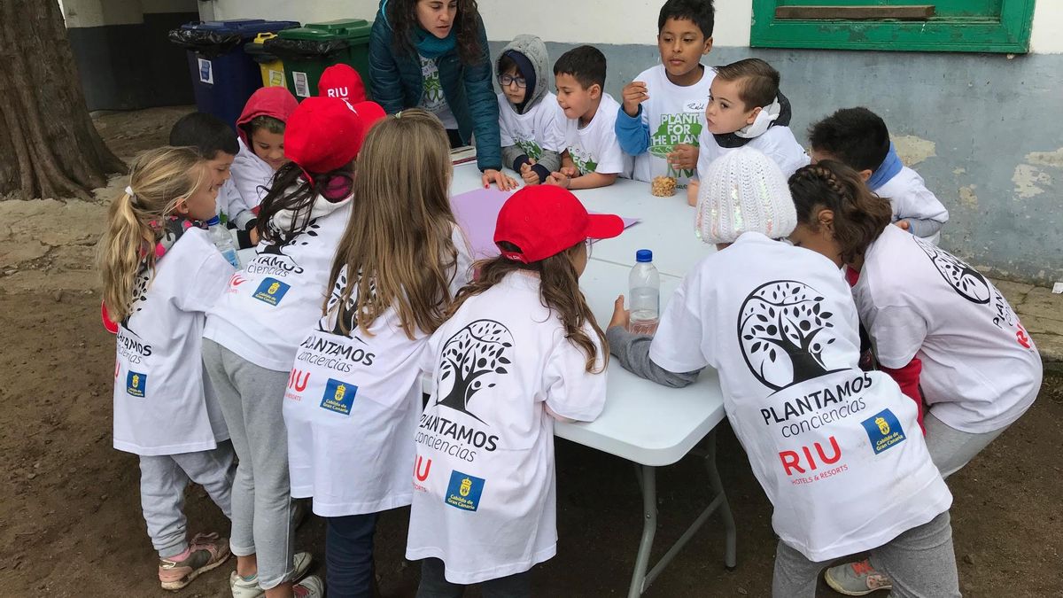 RIU Hotels organiza su segunda reforestación en Gran Canaria con la plantación de 300 plantas y árboles