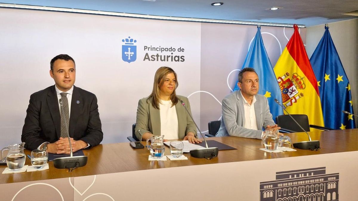 De izquierda a derecha, Guillermo Peláez, Gimena Llamedo y Ovidio Zapico.