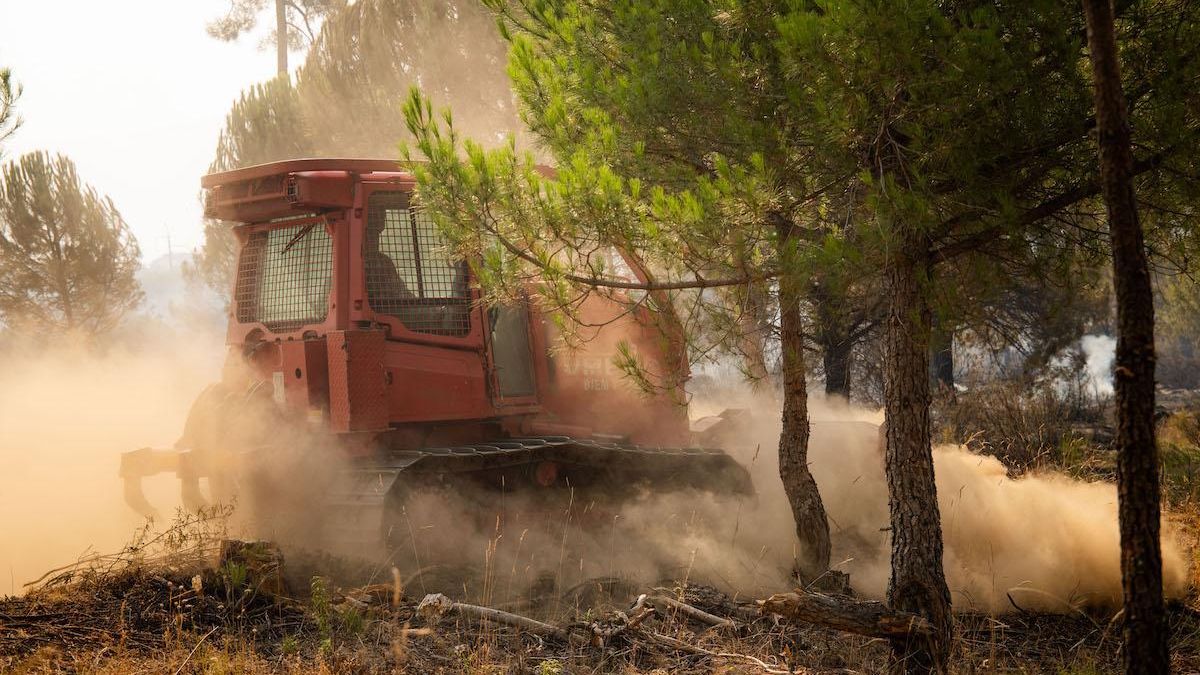 Evolución "favorable" para el incendio en la comarca de Tierra de Pinares en Ávila, con reactivaciones bajo control