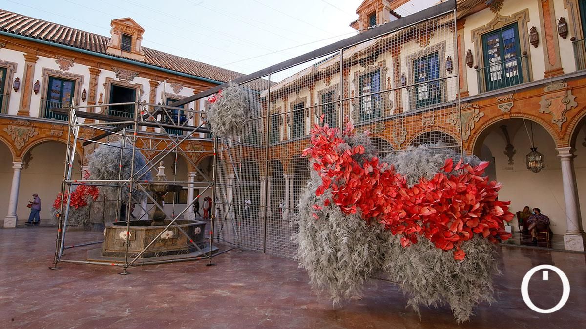 Instalación de Flora 2021 en la Diputación de Córdoba