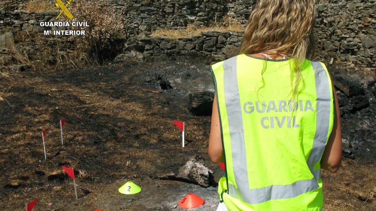 Investigado un vecino de Astorga por un incendio forestal en la provincia de Lugo