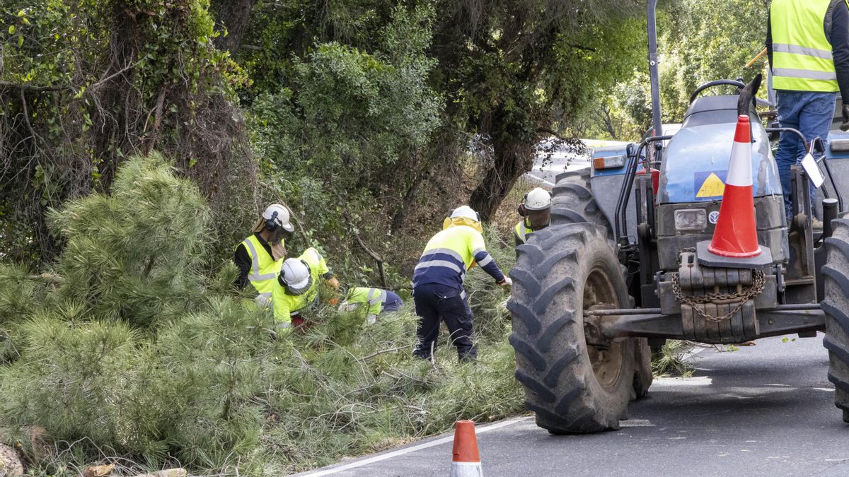 La Diputación inicia los trabajos de poda y desbroce en once carreteras de la sierra para prevenir incendios forestales