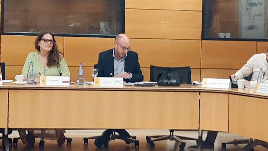 La directora del ICASS en la Comisión Sectorial de Infancia celebrada en Madrid.