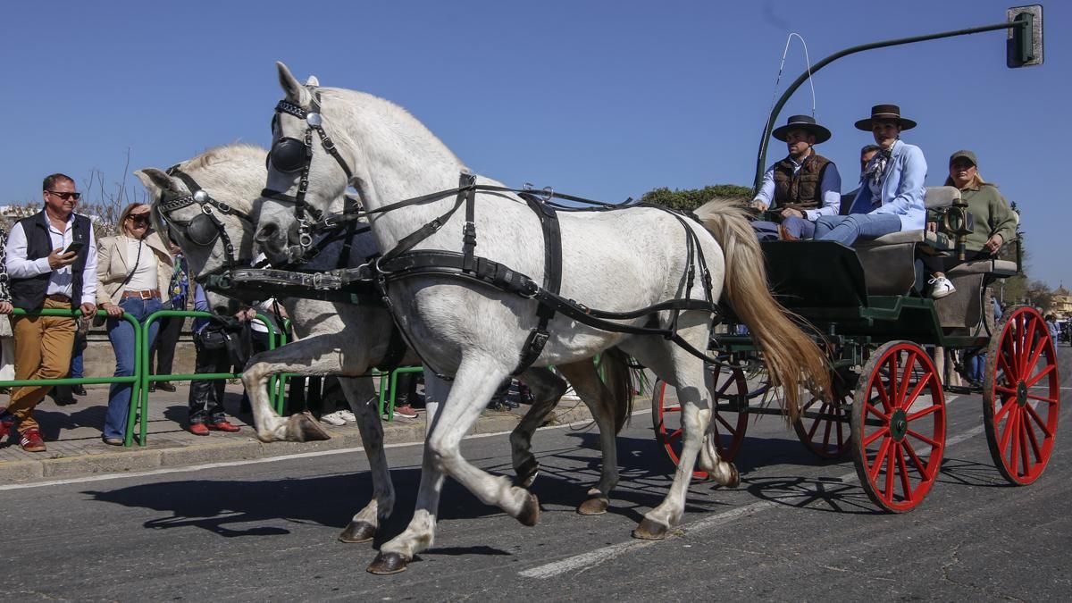 XVIII Marcha Hípica ‘Córdoba a Caballo’