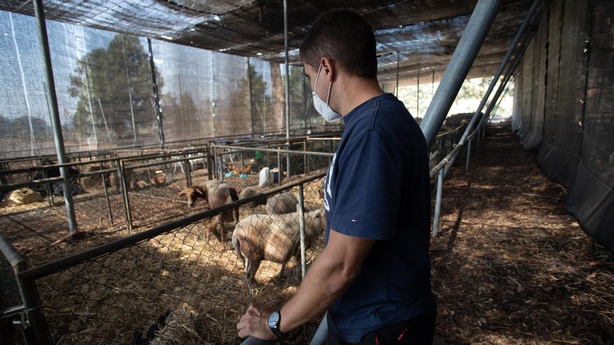 Gustavo Concepción, concejal de Desarrollo Local y Ganadería de El Paso.