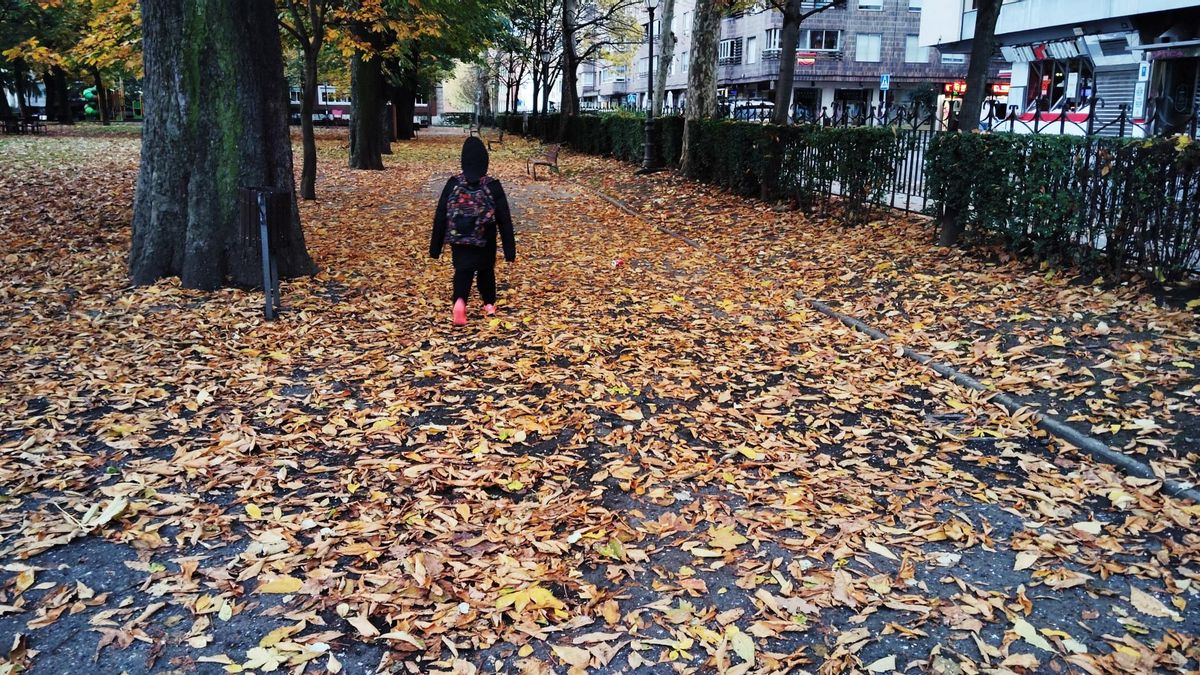 Un niño paseando por una alfombra de hojas caídas en San Francisco.