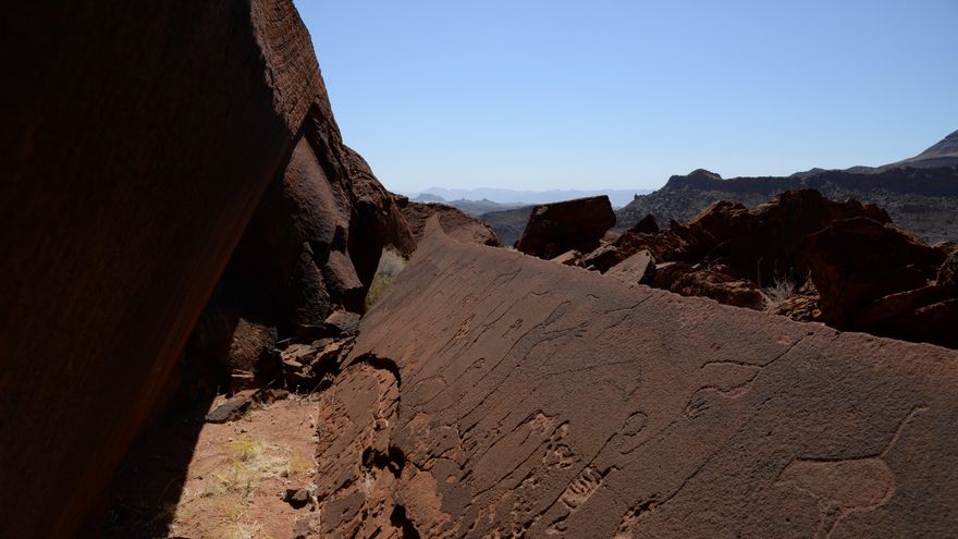 Otros grabados de animales en la misma zona rocosa