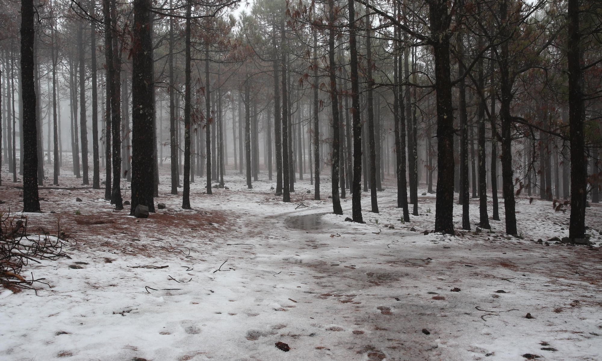 Nieve en la cumbre de Gran Canaria