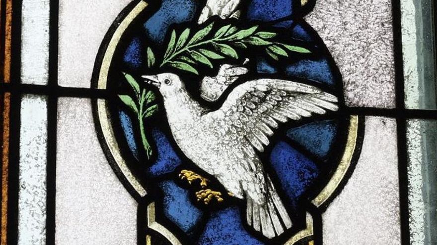 Celebrando el Día de la No Violencia y la Paz: una llamada a la reflexión y la acción