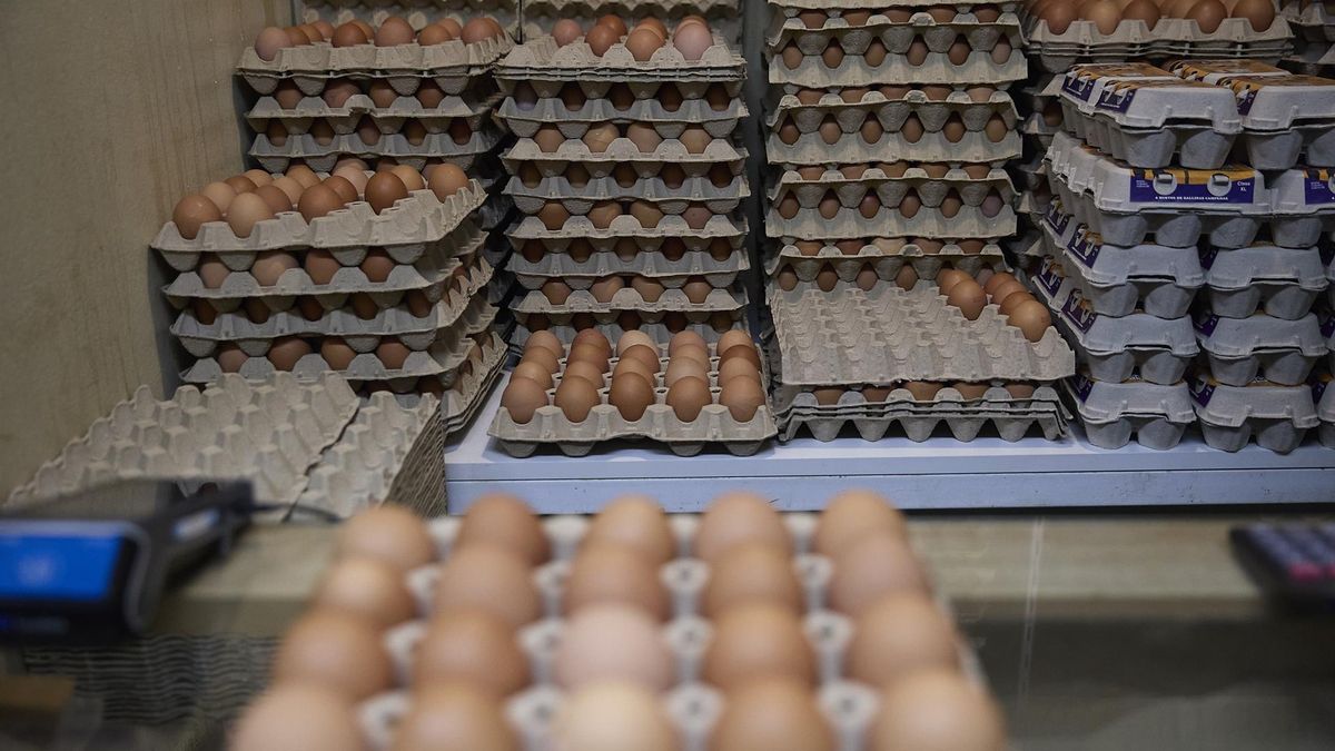Los huevos son el alimento que más ha subido en el último año, mientras que el aceite de oliva es el que más ha bajado