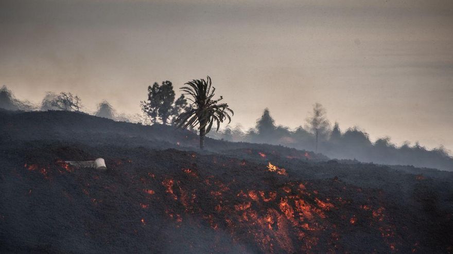 La lava afectó a cultivos agrícolas desde los primeros días