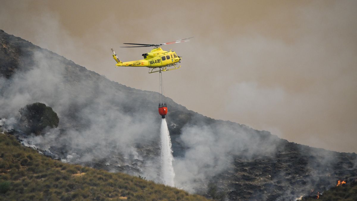 Última hora del incendio en Almería: 12 muertos, 8 heridos y 23 desaparecidos en el fuego en Los Gallardos