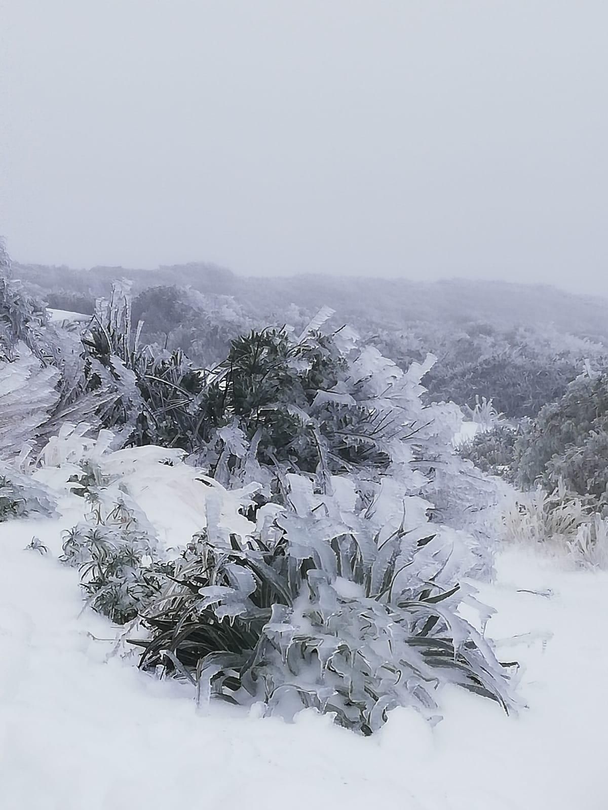 La ola  gélida esculpe una estampa polar en La Palma
