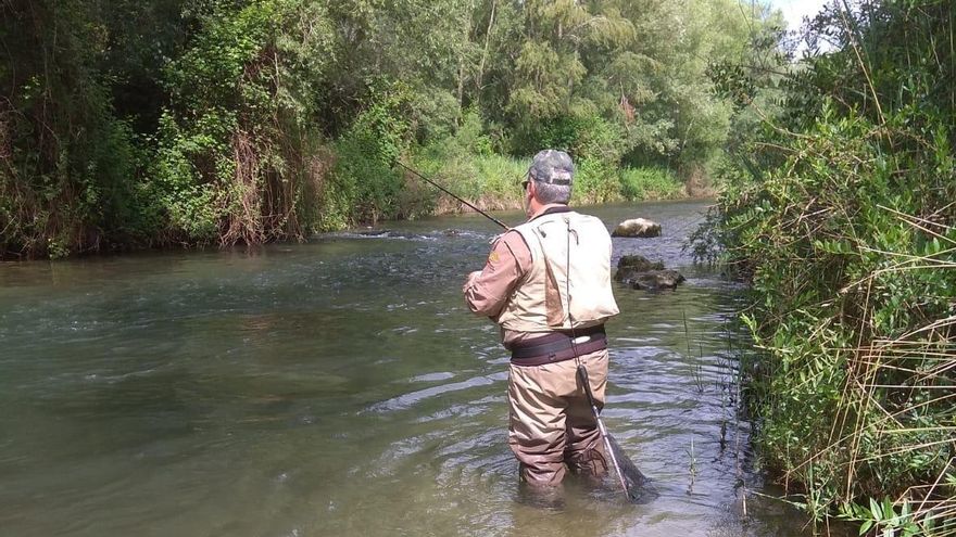 Nueva normativa de pesca en Asturias ante la mayor crisis del salmón: solo uno por pescador y año