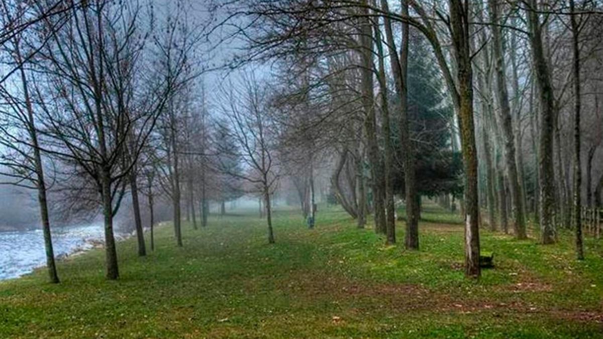 Entorno del camping de Bañares
