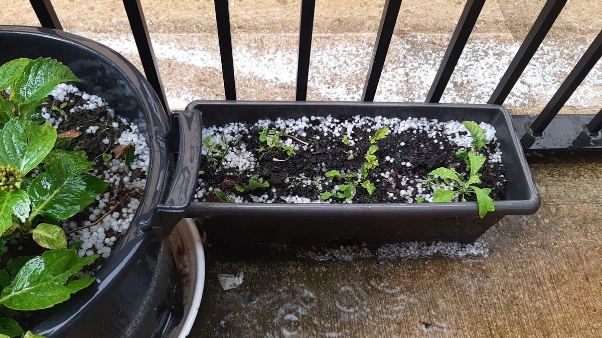 Granizo en La Rioja, en Brieva de Cameros