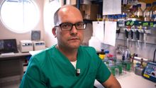 "Hemos conseguido que las bacterias resistentes se vuelvan de nuevo sensibles a los antibióticos"