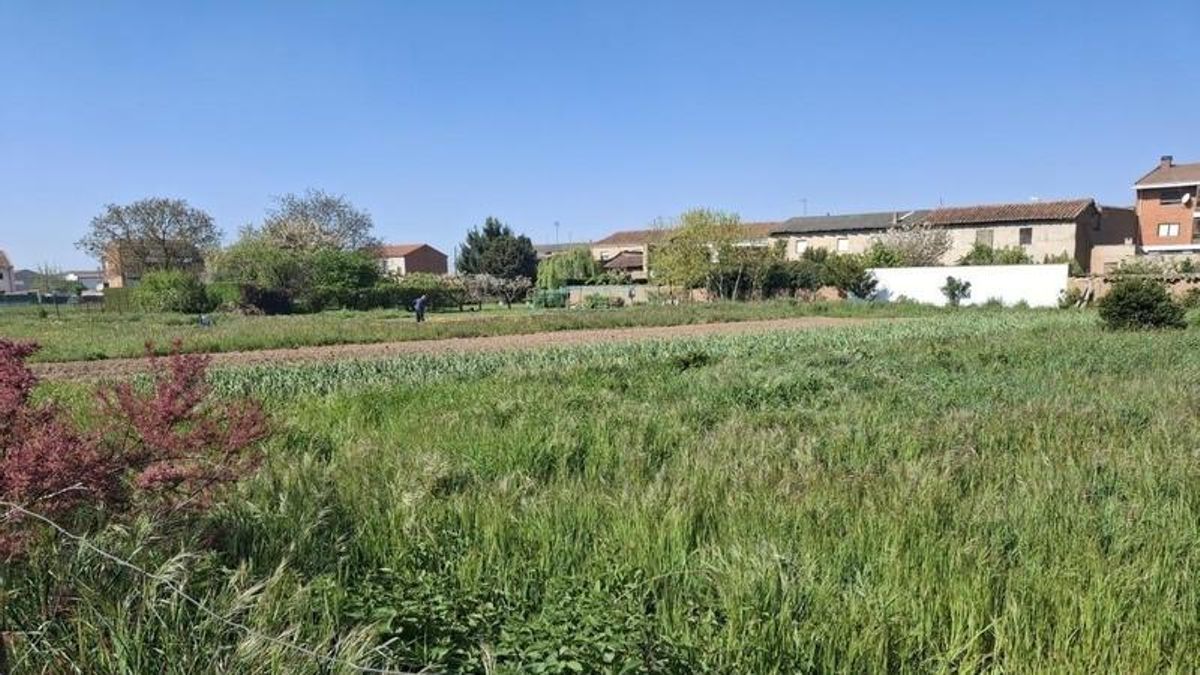 Uno de los huertos urbanos que se quedan sin agua para regar en la comarca del Órbigo.