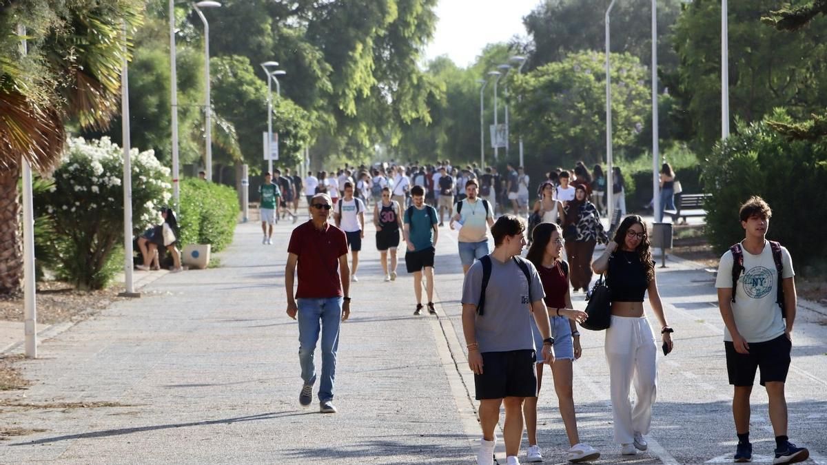 La universidad como aplicación