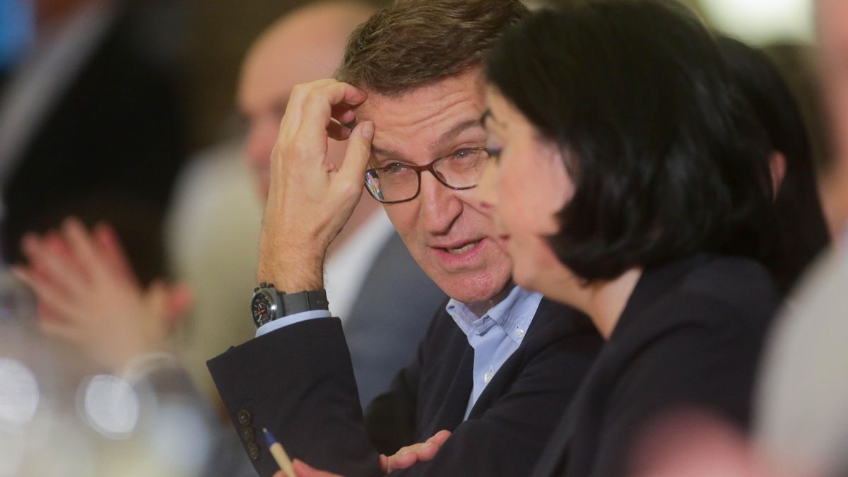 El Presidente nacional del PP, Alberto Núñez Feijóo, asiste a una pulpada con la militancia del PP en Lugo para arropar a la candidata del partido en las próximas elecciones municipales en la ciudad de Lugo, Elena Candia. Además, han asistido a la pulpada otros cargos relevantes, como el Presidente de la Xunta de Galicia, Alfonso Rueda, el senador José Manuel Barreiro o el Conselleiro de Industria de la Xunta de Galicia, Francisco Conde