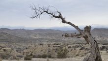 Vista de la zona desértica de Tabernas (Almería).