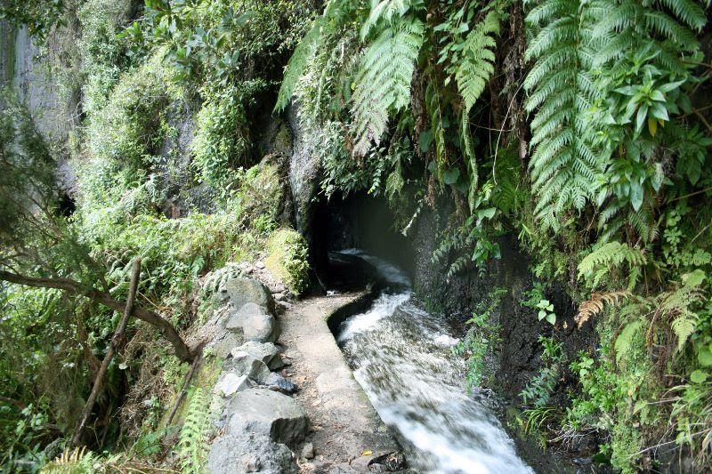 Un tramo del sendero de Marcos y Cordero.