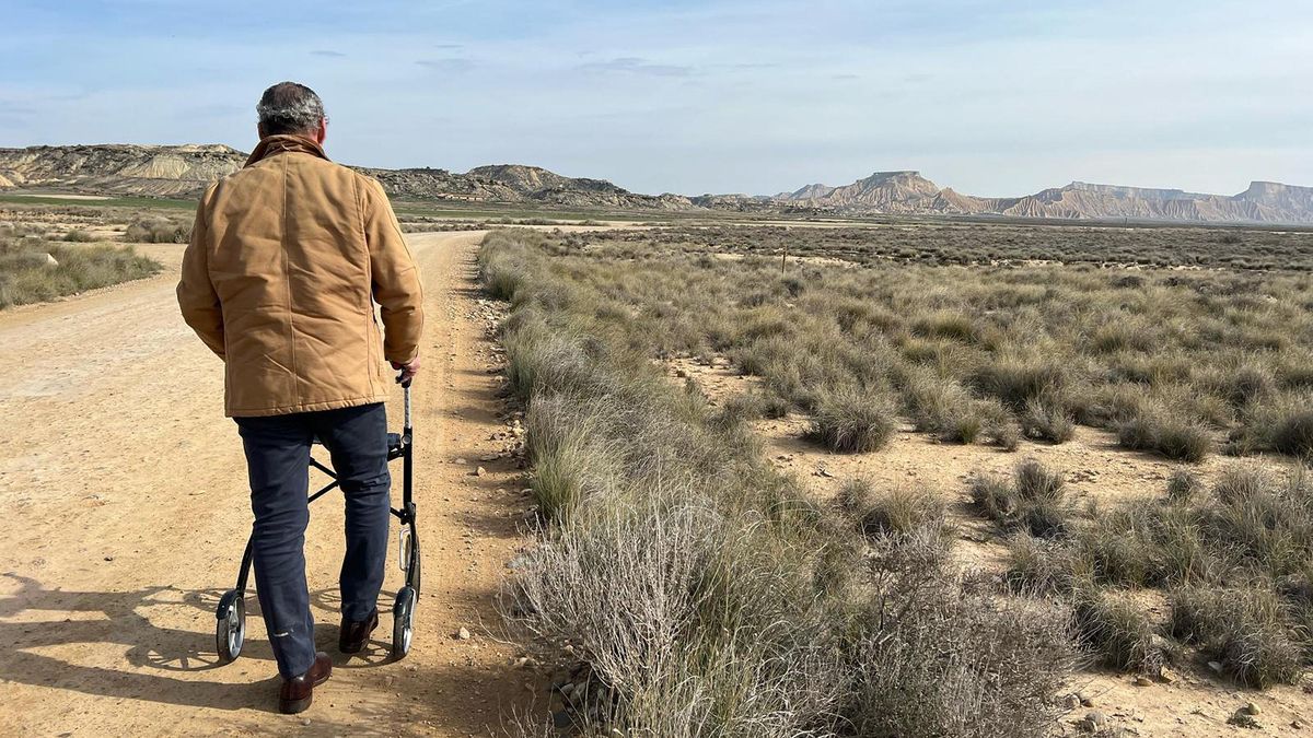 Hallan pruebas de que la ELA actúa como una enfermedad autoinmune, lo que abre una vía a posibles nuevos tratamientos